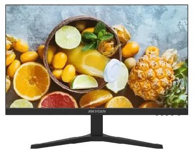 DS-D5019S0-1P0 - Monitor LED 18,5" Especial Seguridad